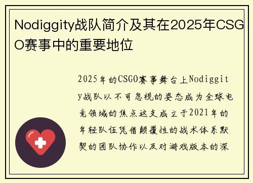 Nodiggity战队简介及其在2025年CSGO赛事中的重要地位